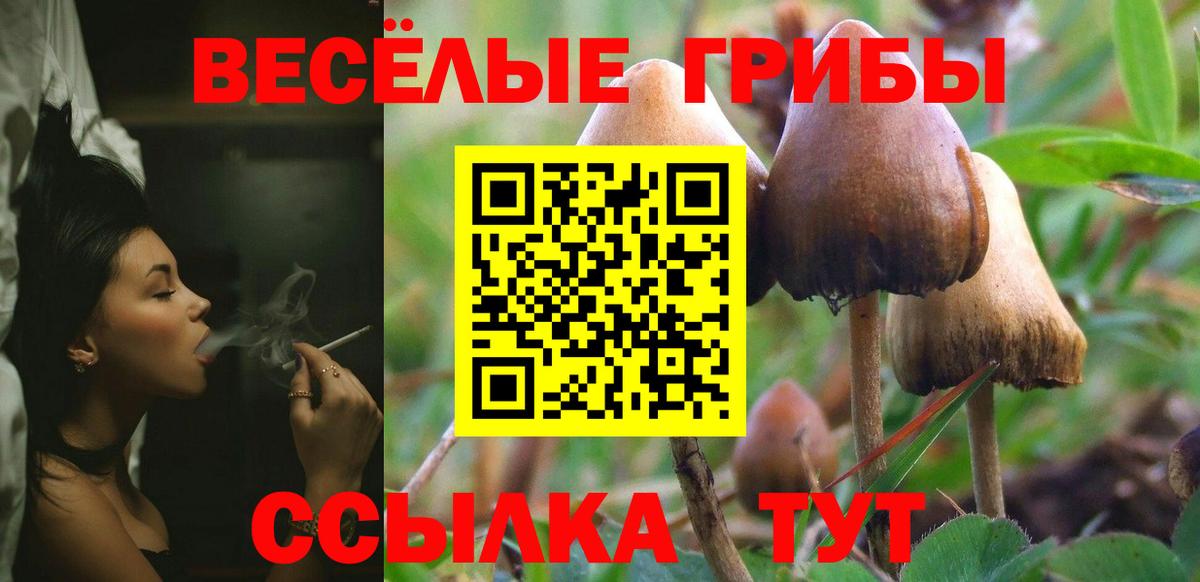 Галлюциногенные грибы ЛСД Нефтекумск